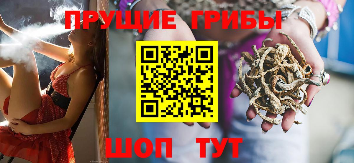 купить наркоту  Галлюциногенные грибы мухоморы  Вход с VPN  Избербаш  Галлюциногенные грибы MAGIC MUSHROOMS 