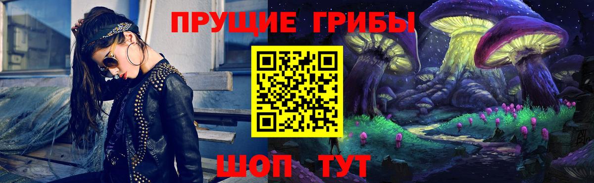Псилоцибиновые грибы Psilocybine cubensis Избербаш